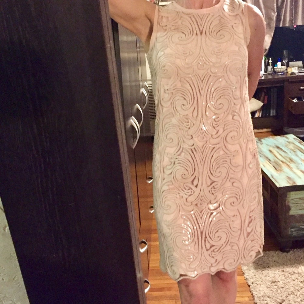Vince Camuto Blush Lace Dress - Picture 12 of 13